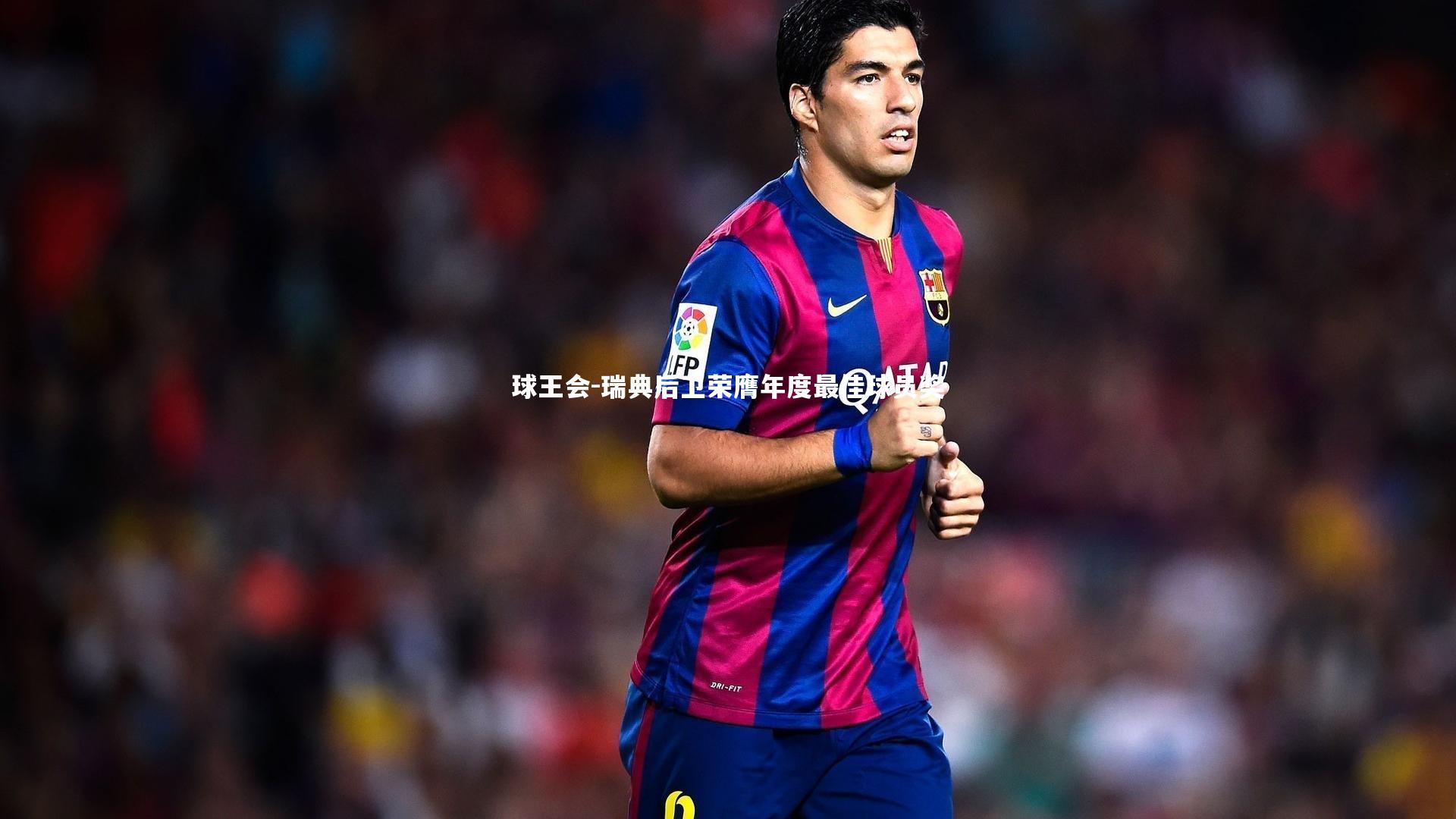 球王会-瑞典后卫荣膺年度最佳球员奖