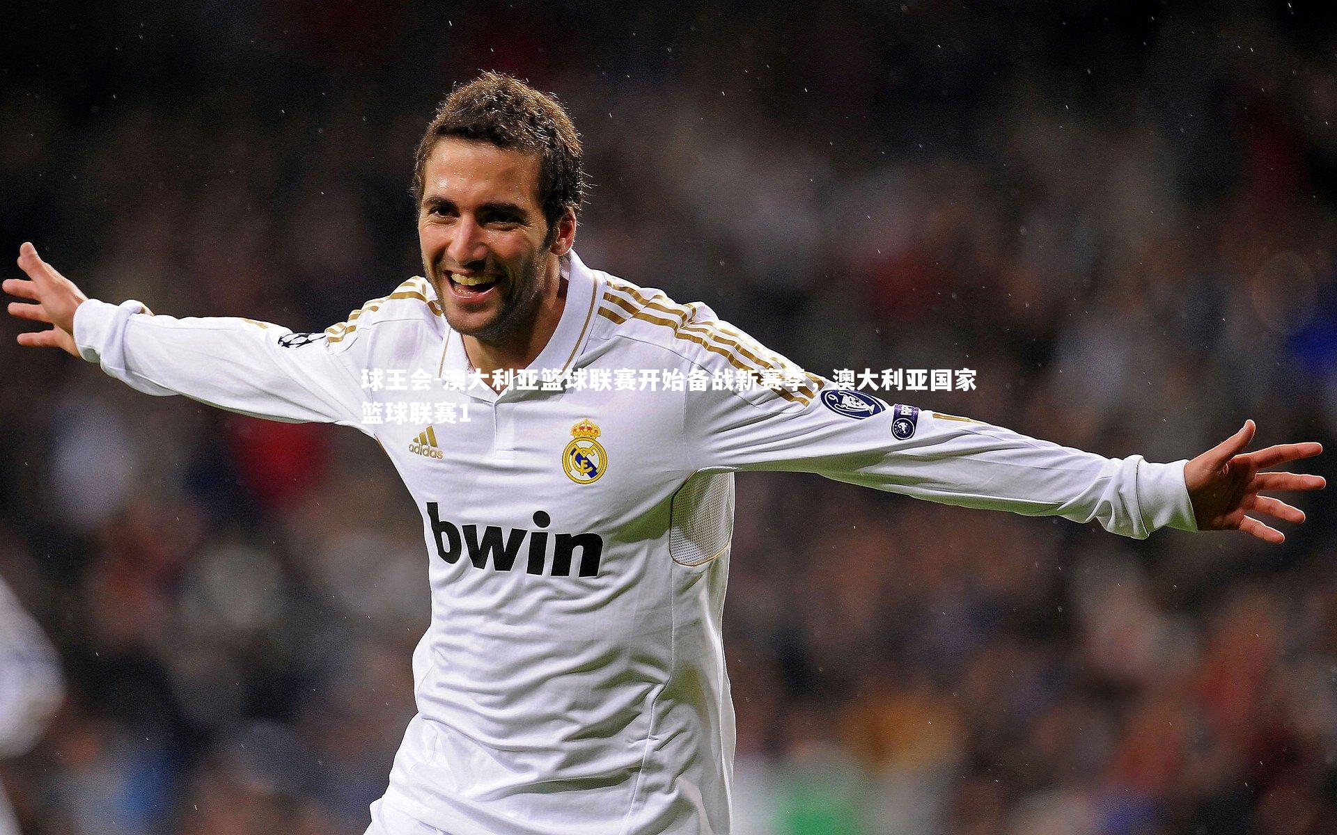 澳大利亚篮球联赛开始备战新赛季，澳大利亚国家篮球联赛1