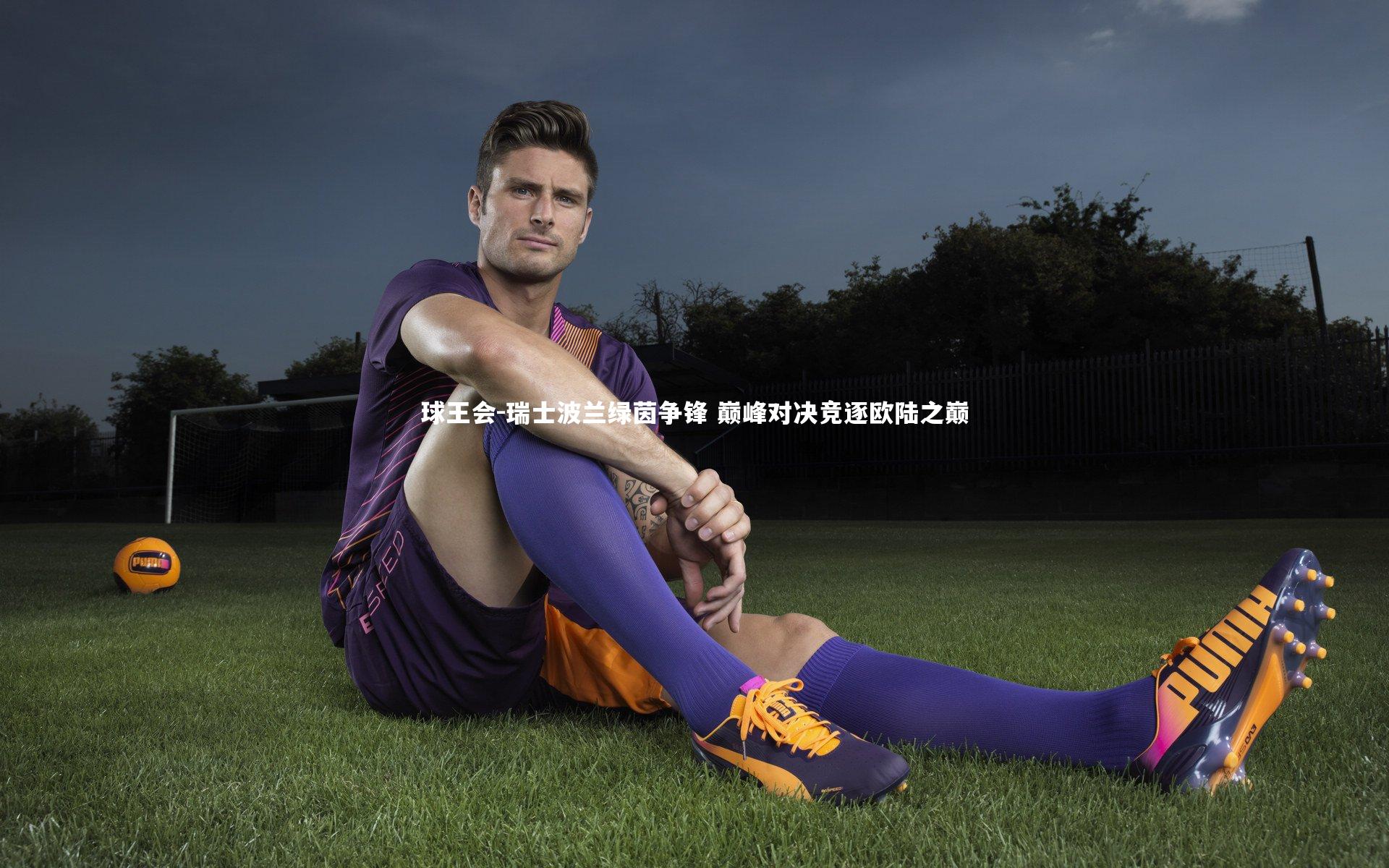 瑞士波兰绿茵争锋 巅峰对决竞逐欧陆之巅